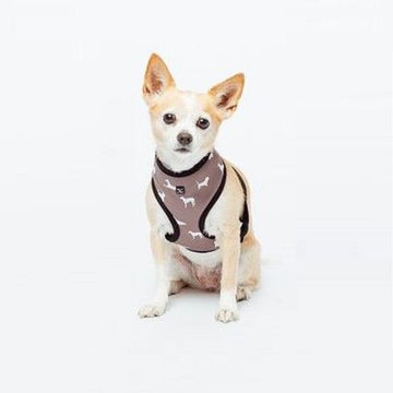 Petsleisure Pet Collars & Harnesses